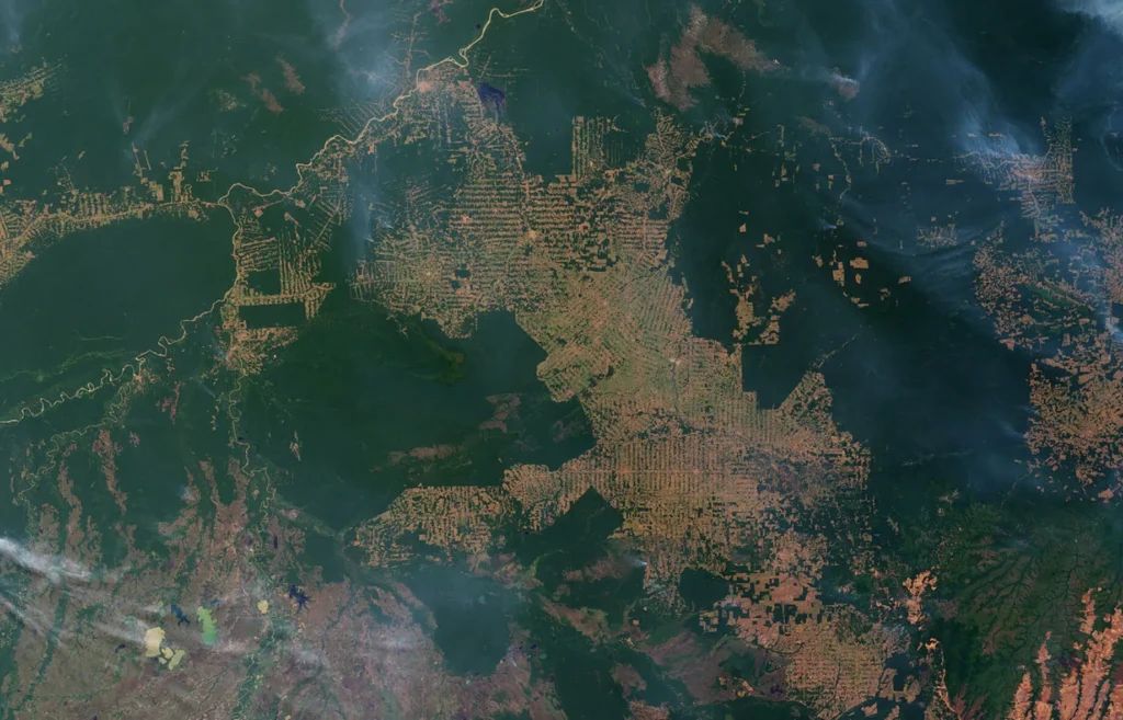 déforestation en Amazonie vue de l'espace